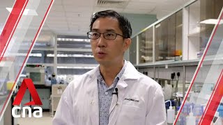 Singapore researchers develop pill that delivers medication to Parkinson's patients over 24 hours