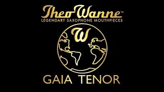 Theo Wanne GAIA Tenor Mouthpiece