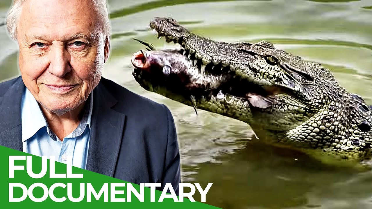 David Attenborough's Wild City: Hidden Wild