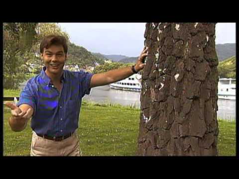 Volker Bengl - Es zogen auf sonnigen Wegen 2006