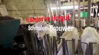 preview picture of video '2013 - Das Melken der Berdorfer Ziegen'