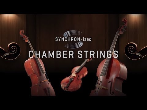 Introducing Vienna SYNCHRON-ized Chamber Strings