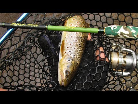 SPS-682L 2-10 грамм