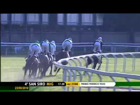 2018.09.23 Premio Federico Tesio (ITA) - Night Music