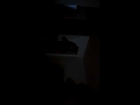 Motel 6 Room Review from Orlando, Florida