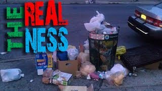 THE REALNESS:Stop Sh*tting On My City!!