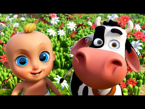 🐄 A Vaca Maru! Músicas Infantis Brasileira | músicas para bebês - looloo kıds dublado