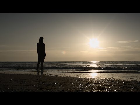 Birds (Team Ghost | New album teaser #2)