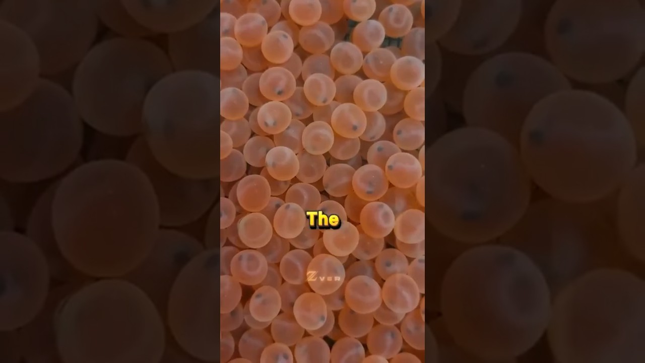 인간이 물고기를 키우는 방법