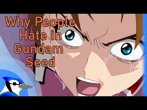 Why People Hate in Gundam Seed