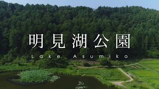 富士山と蓮池 富士吉田市 明見湖公園 / Lotus Flowers at Lake Asumiko in Yamanashi, Japan