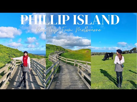 PHILLIP ISLAND PENGUIN PARADE | Cape Woolamai Coastal Walk, Churchill Island & Chocolate Factory!