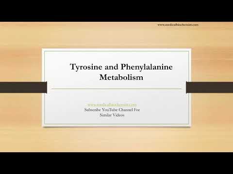 Phenylalanine and Tyrosine Metabolism: An Overview