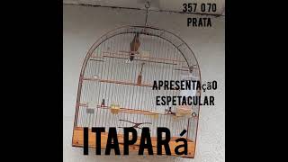 CURIÓ ITAPARÁ