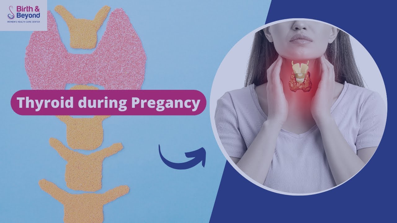 Thyroid during pregnancy