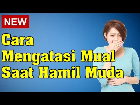 7 Tips Mengurangi Mual  Muntah Di Awal Kehamilan