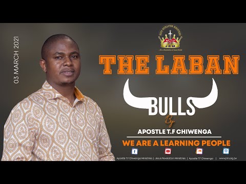 Midweek Service 03 March 2021 Apostle T.F Chiwenga (The Laban Bulls)