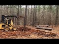 Digging and Pushing Over Pine Trees with Skid Steer Stump Bucket