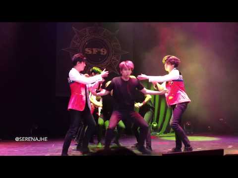 171119 #SF9inBOS SF9 (에스에프나인) - Jungle Game FANCAM