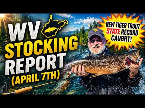 Wv Stocking Report April 7th