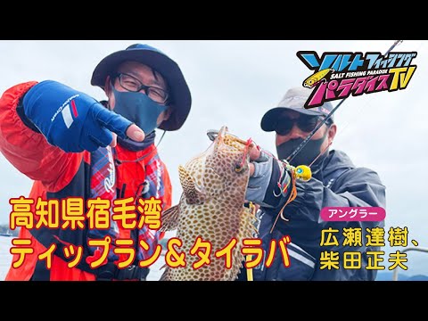 高知県宿毛湾　ティップラン＆タイラバ（ソルパラTV・第85回2022年5月12日放送）