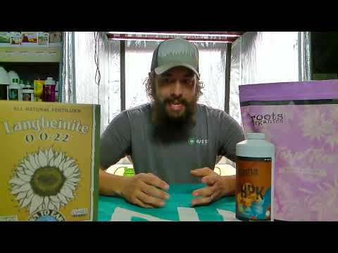 Potassium, It's roll in the plant, and how to spot deficiencies.