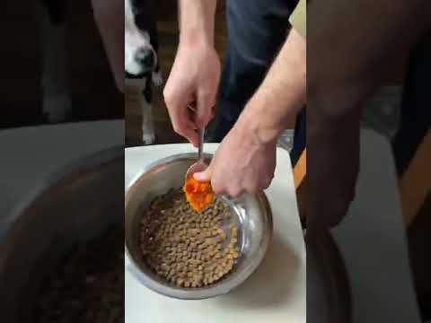 How we make dog food from venison scraps