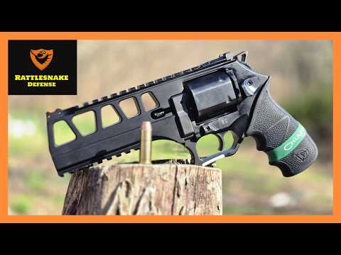 The SOFTEST Shooting .44 Magnum EVER Made! (NEW Chiappa Rhino 60 DS)
