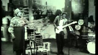 02   Hound dog   Big Mama Thornton