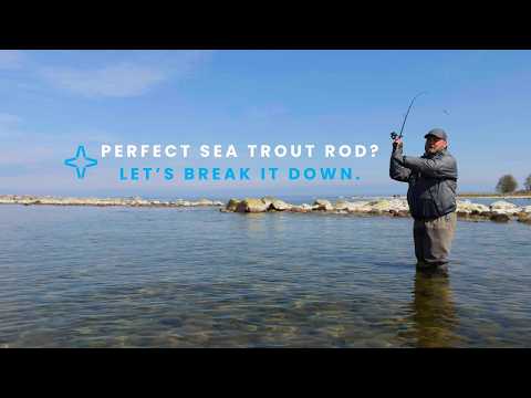 How to choose perfect sea trout rod?