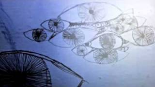 Foals Alabaster loop