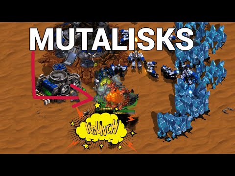 StarCraft 1: SUPER ACE MATCH - Ample vs beast | MPL