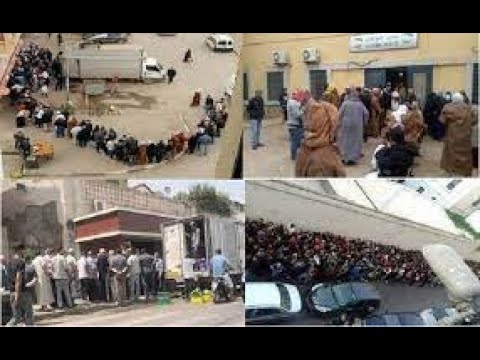 شوفو من يشرف على بيع الحليب في الجزائر العاصمة