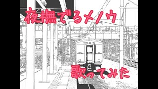 夜撫でるメノウを歌ってみたです！