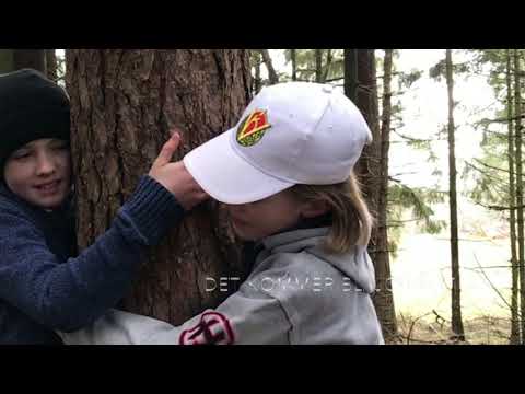 Kramar Träd(100special)