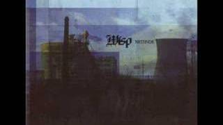 wisp - congratulations