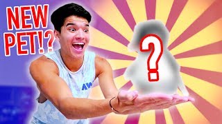 GOT A PET PENGUIN FOR A DAY!