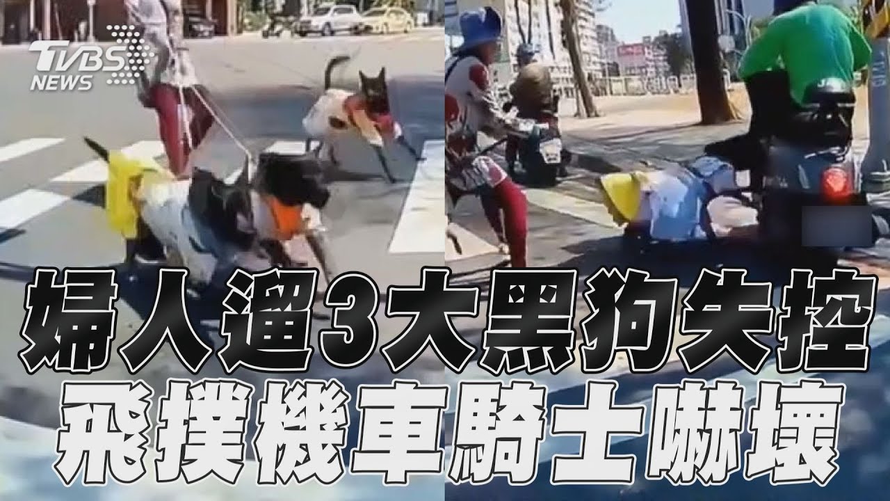 影音／婦人遛3大黑狗失控！　飛撲停等機車騎士嚇壞