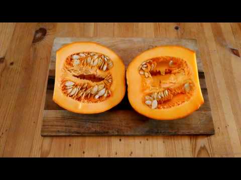 download lagu mp3 mp4 Can You Eat Pumpkin, download lagu Can You Eat Pumpkin gratis, unduh video klip Can You Eat Pumpkin