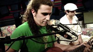 Macaco canta "Monkey man" no Showlivre.com