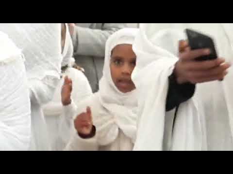 Eritrea mezmur orthodox new ⛪27_2_2022