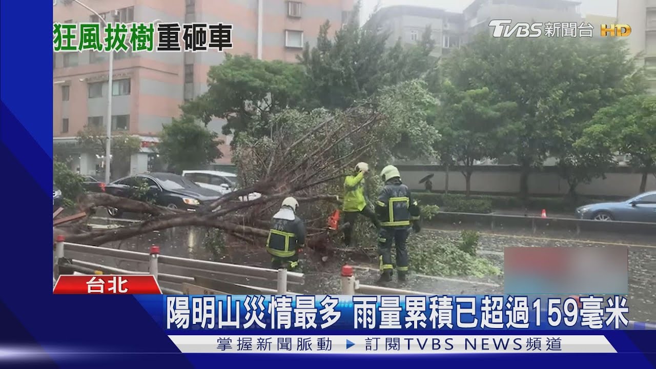 陽明山狂風暴雨! 山屋封門窗、堆沙包防颱