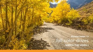 Fall Color Scenic Drives near Mammoth Lakes