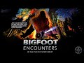 Bigfoot Encounters In the Pacific Northwest- (A Documentary Film).