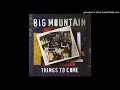 Big Mountain - 12. Hard To Love You