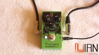 Video thumbnail for Hummingbird v2 Earthquaker devices Demo (Español/English) by Lian GS