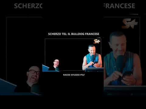 Andrea Catavolo Show - SCHERZO TEL: IL BULLDOG FRANCESE