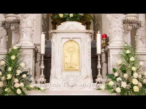 Klanjam Ti se smjerno (orgulje)