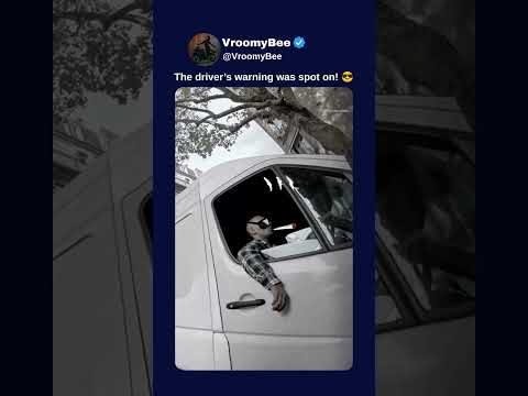 The driver’s warning was spot on! 😎