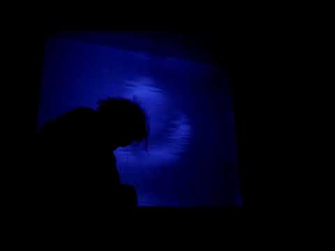 Fractum Lapide - Narcissistic Fantasy (Official Music Video)